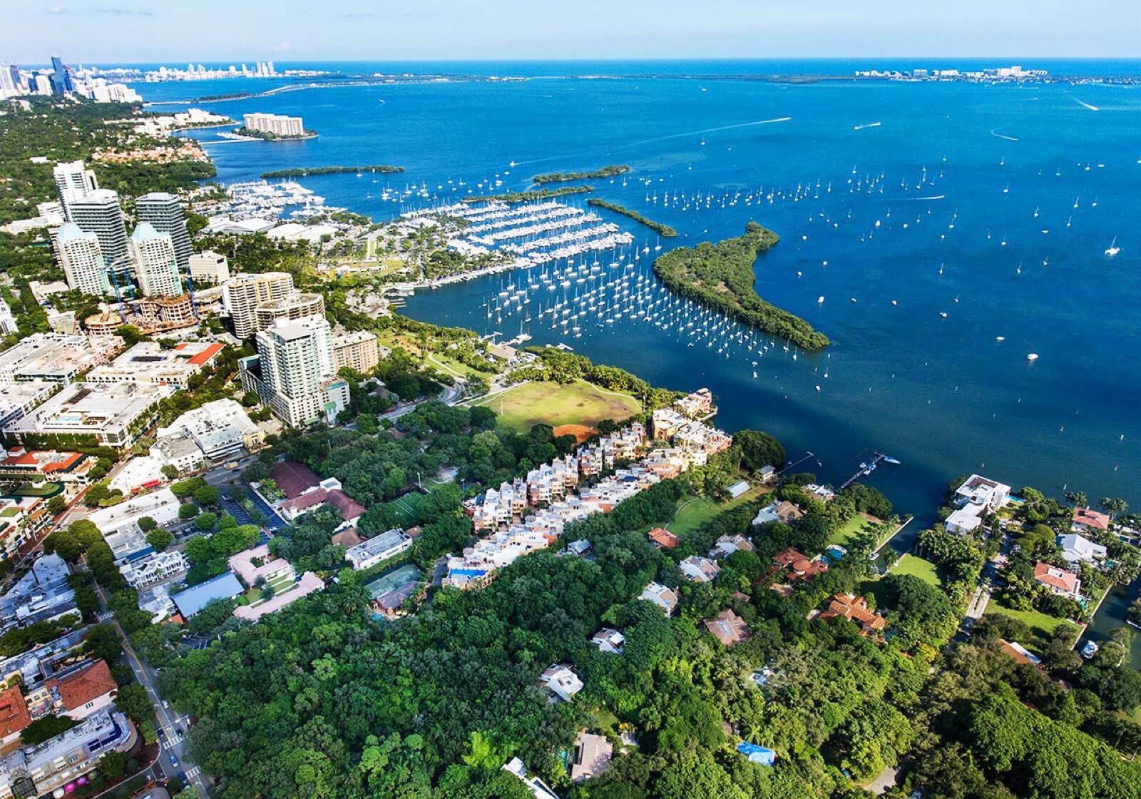 Coconut Grove Landscape