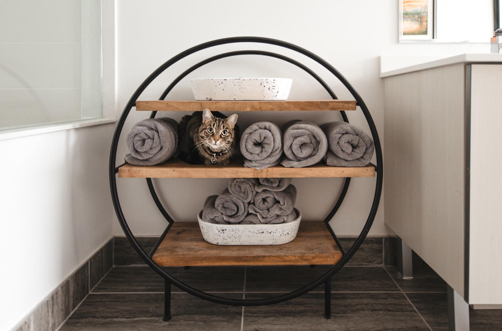 家居布置 - 带小猫的家居装饰